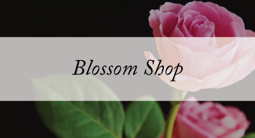 BlossomShop