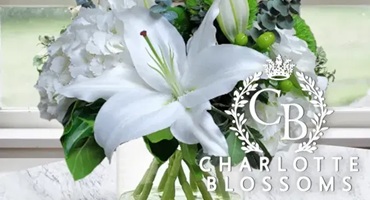 Charlotte Blossoms 2